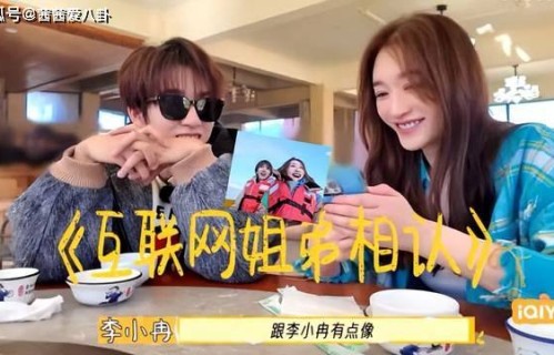 趣味互动出圈!李小冉与贺峻霖花式互怼,跨龄姨甥相处模式圈粉|反击|两人|蓝牙|综艺|娱乐圈