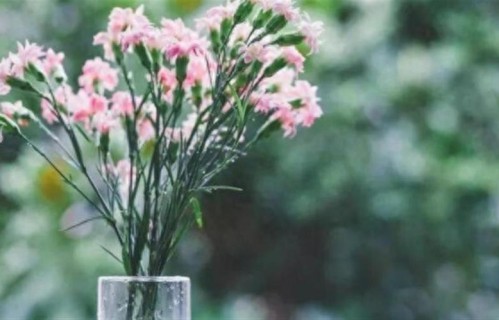 总是独来独往的人，遇事不商量，从不表达需求，可能是病理性独立