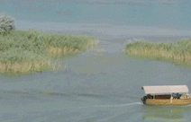 84岁高明近况：儿子高亮去世一年，儿媳已成他和妻子的晚年依靠 